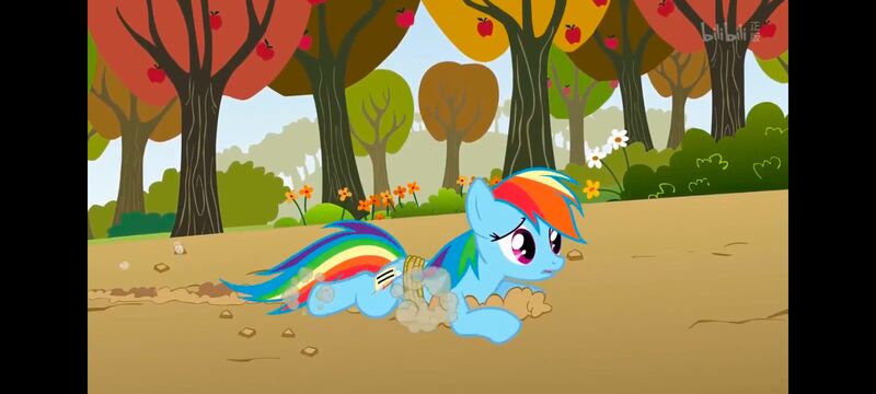 小马宝莉,小马宝莉友谊魔法,彩虹小马,我的小马驹,动画,动漫,番剧,ACG