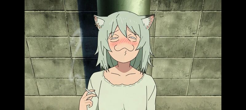 雅尼猫,尼古喵喵,动画,动漫,番剧,二次元,日漫,ACG