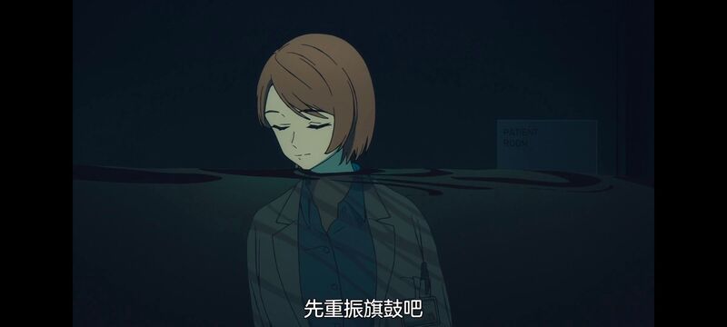 命运奇异赝品,FatestrangeFake,动画,动漫,番剧,ACG