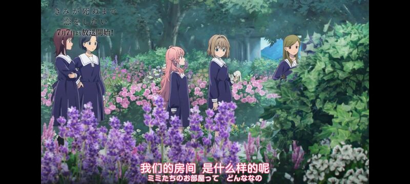 与你相恋到生命尽头,与你相恋到世界尽头,动画,动漫,番剧,百合,二次元,ACG
