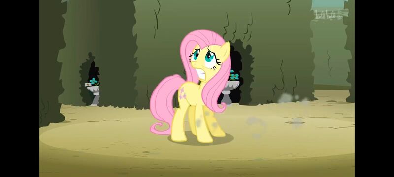 小马宝莉,小马宝莉友谊魔法,彩虹小马,我的小马驹,动画,动漫,番剧,ACG