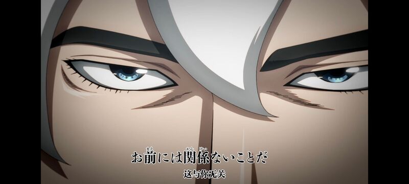 王者天下,动画,动漫,番剧,ACG