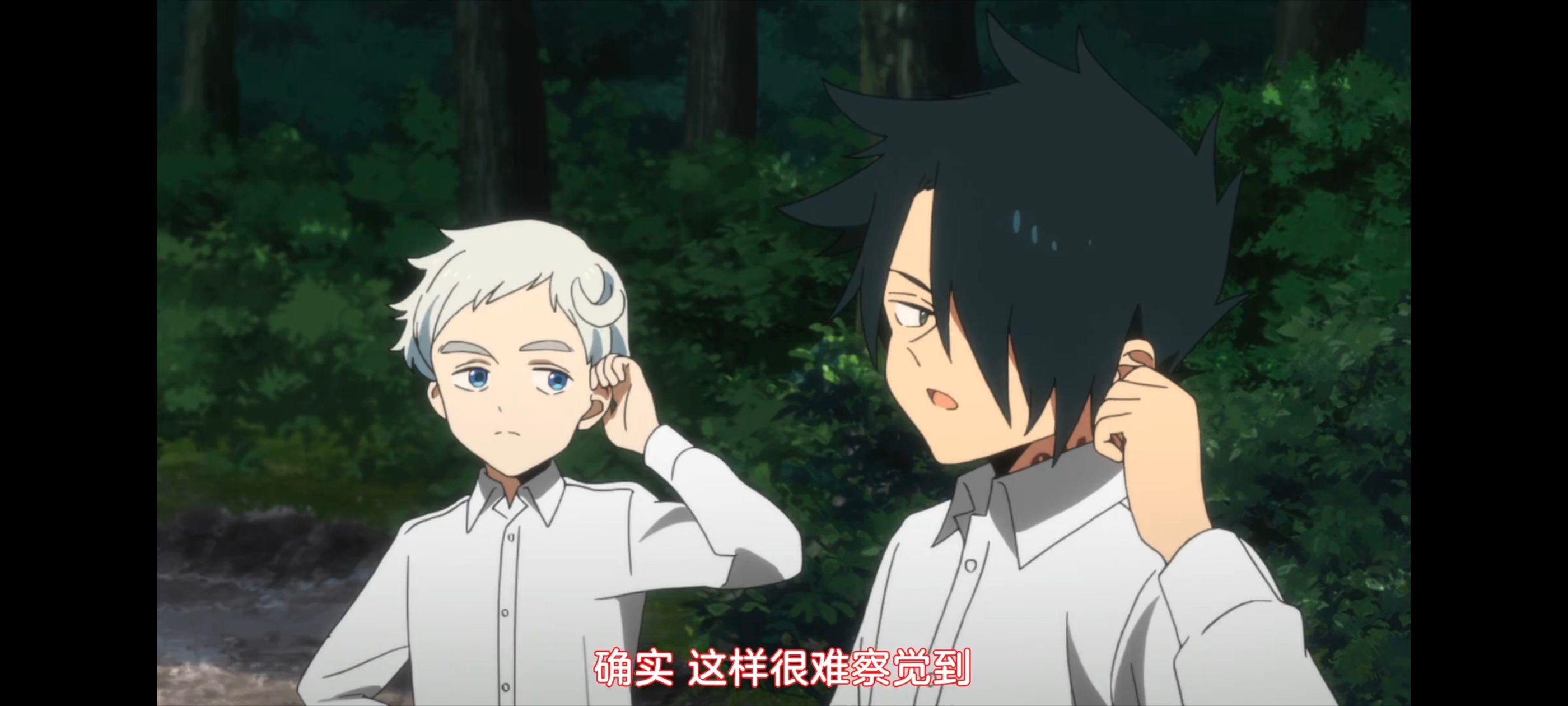 约定的梦幻岛,动画,动漫,番剧,ACG