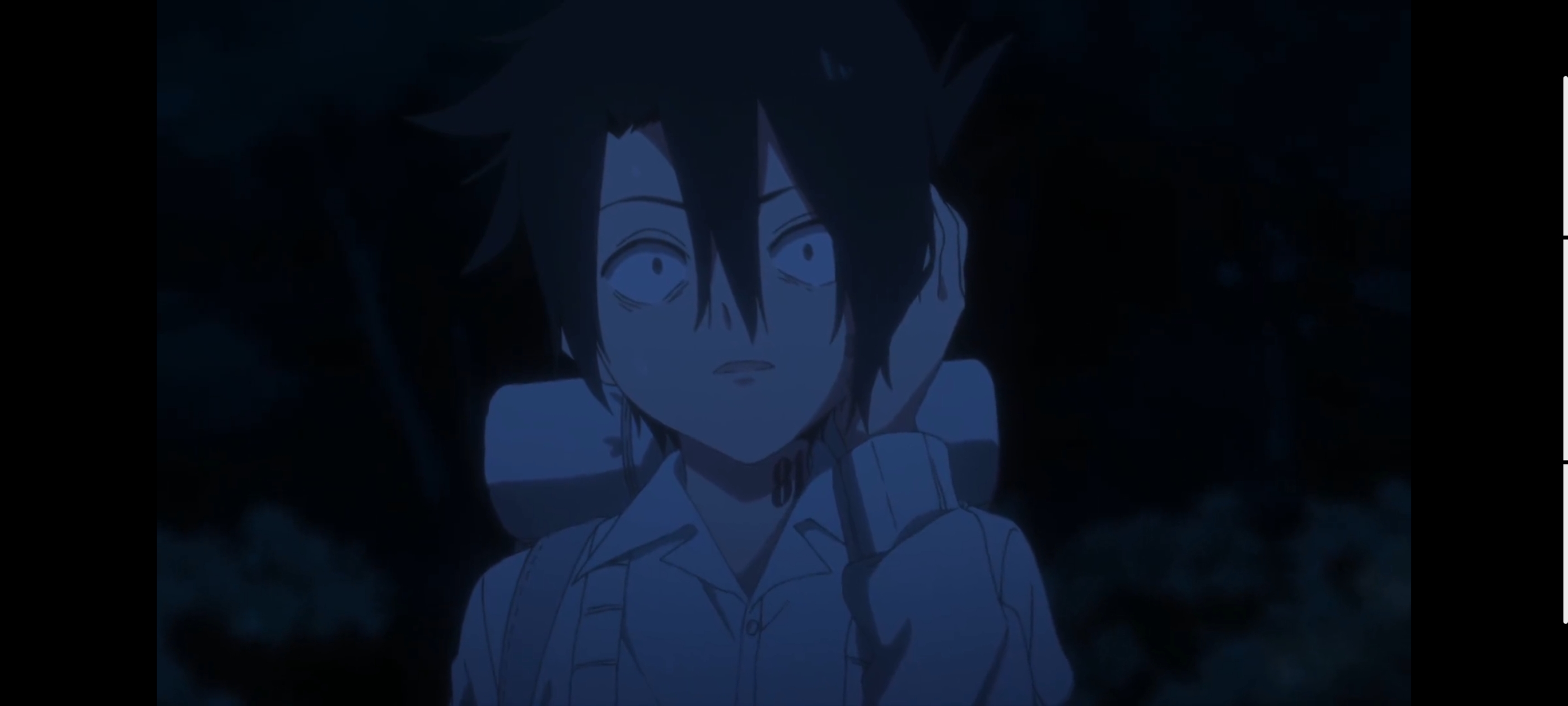 约定的梦幻岛,动画,动漫,番剧,二次元,ACG