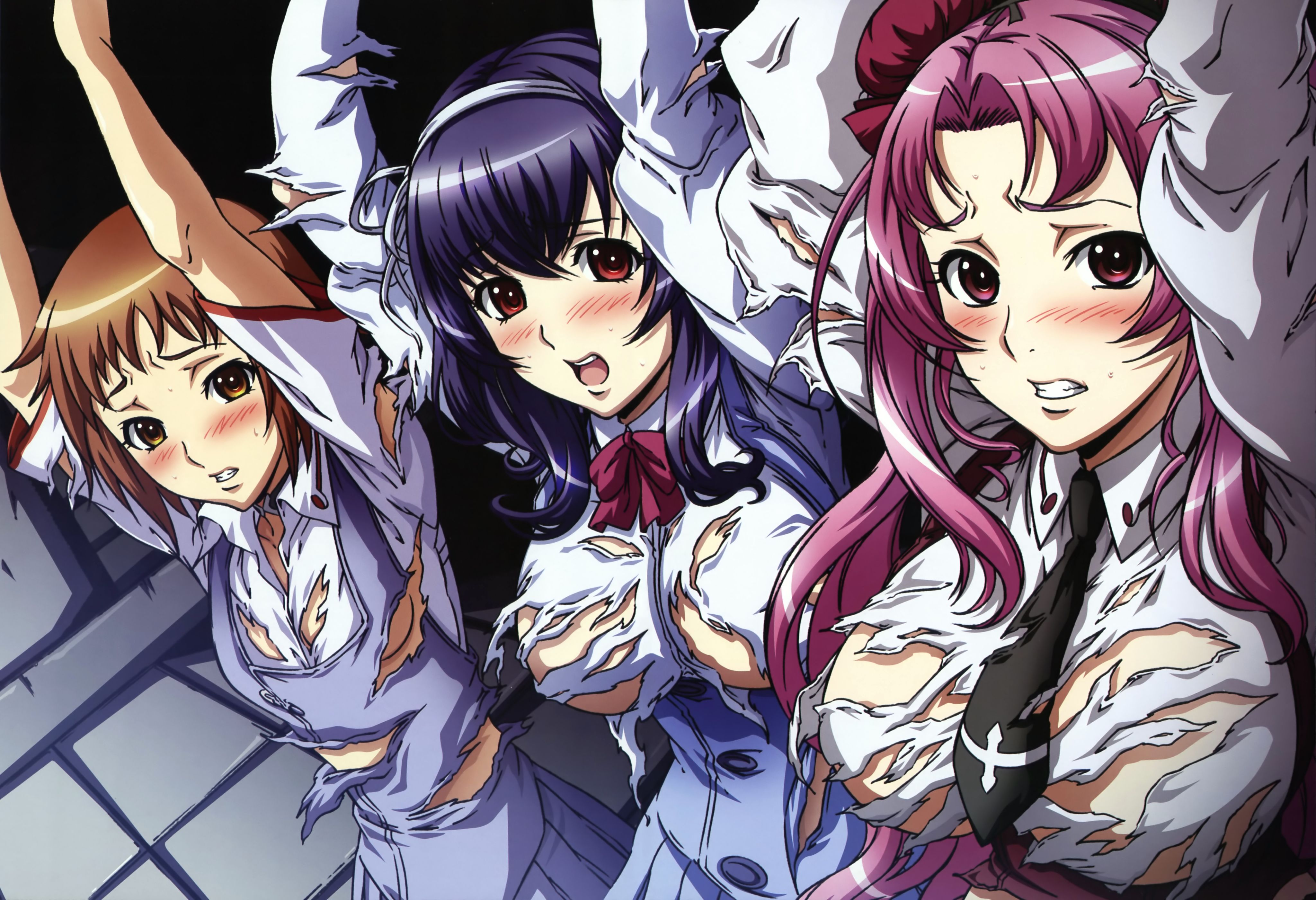 杂志,动漫,二次元,acg,Nyantype