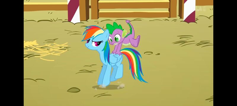 小马宝莉,小马宝莉友谊魔法,彩虹小马,我的小马驹,动画,动漫,番剧,ACG