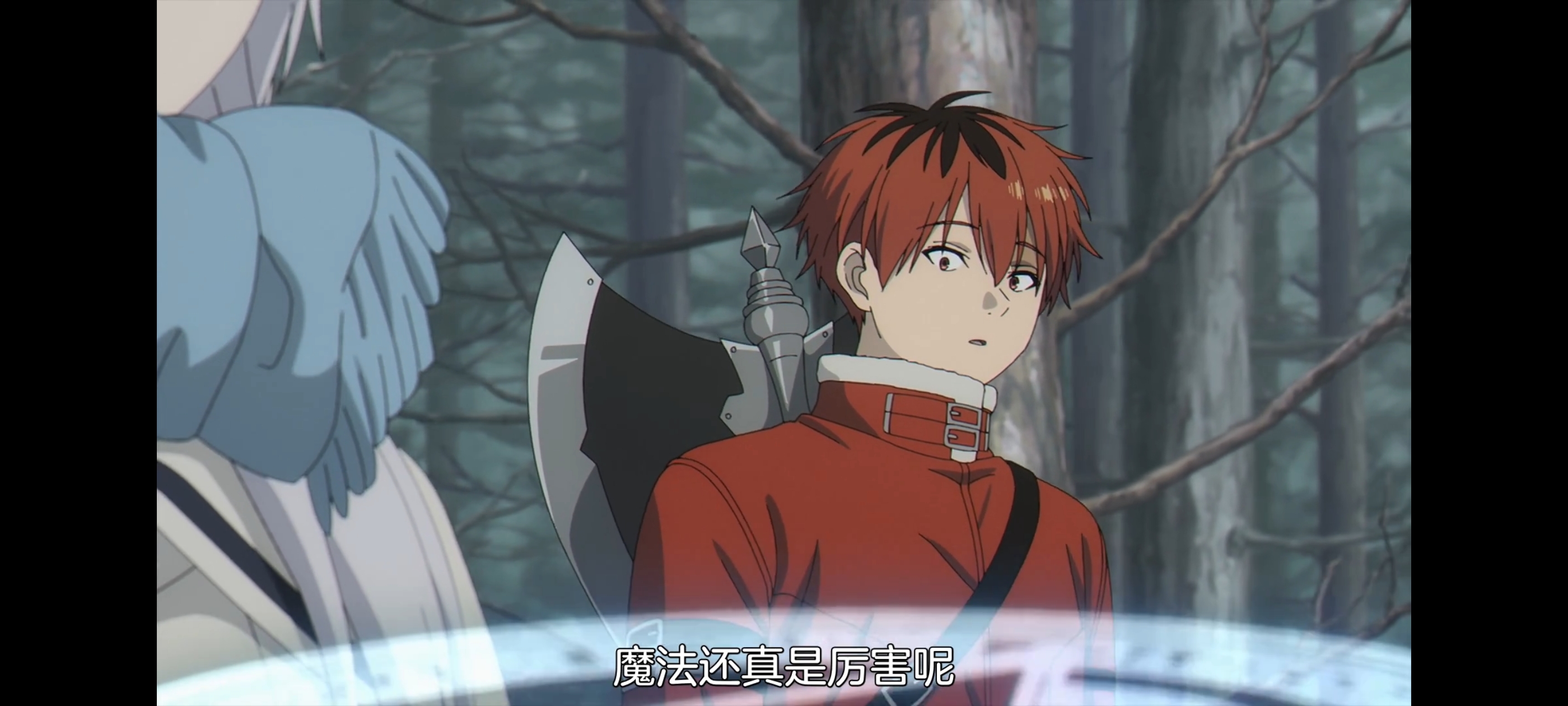 葬送的芙莉莲,动画,动漫,番剧,二次元,ACG