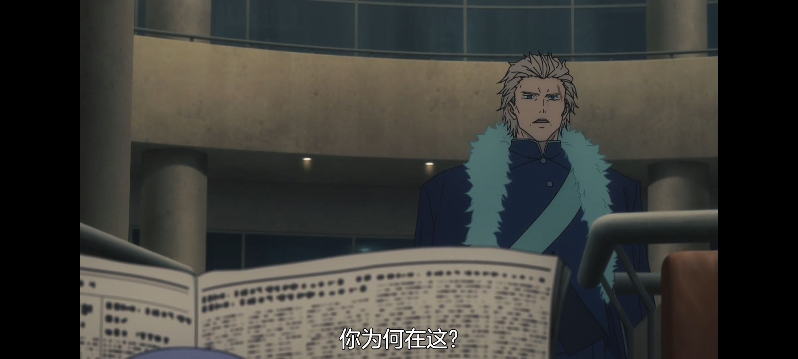 命运奇异赝品,FATE,FatestrangeFake,动画,动漫,番剧,二次元,ACG