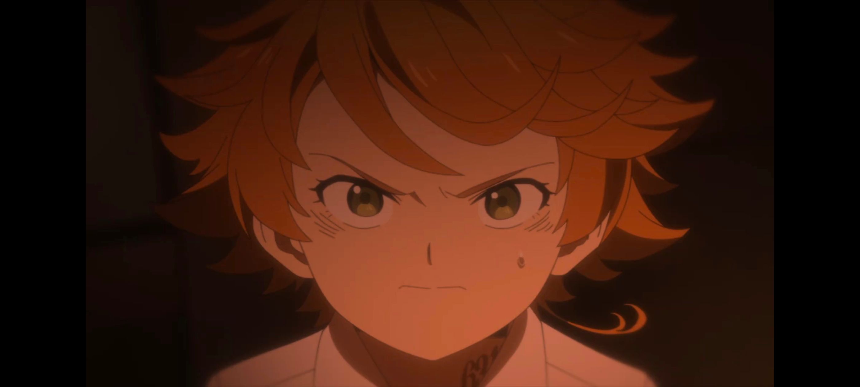 约定的梦幻岛,动画,动漫,番剧,二次元,ACG