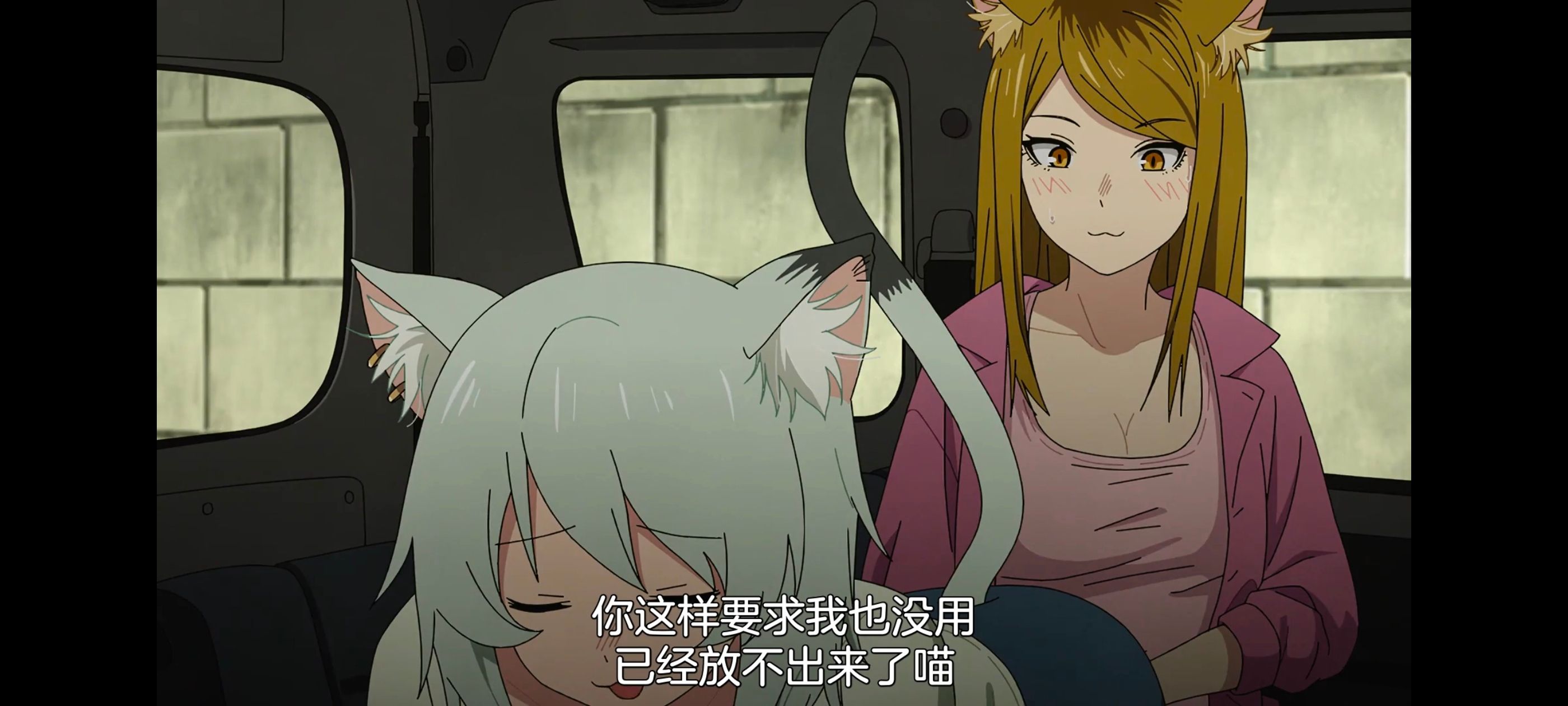 雅尼猫,尼古喵喵,动画,动漫,番剧,日漫,二次元,ACG