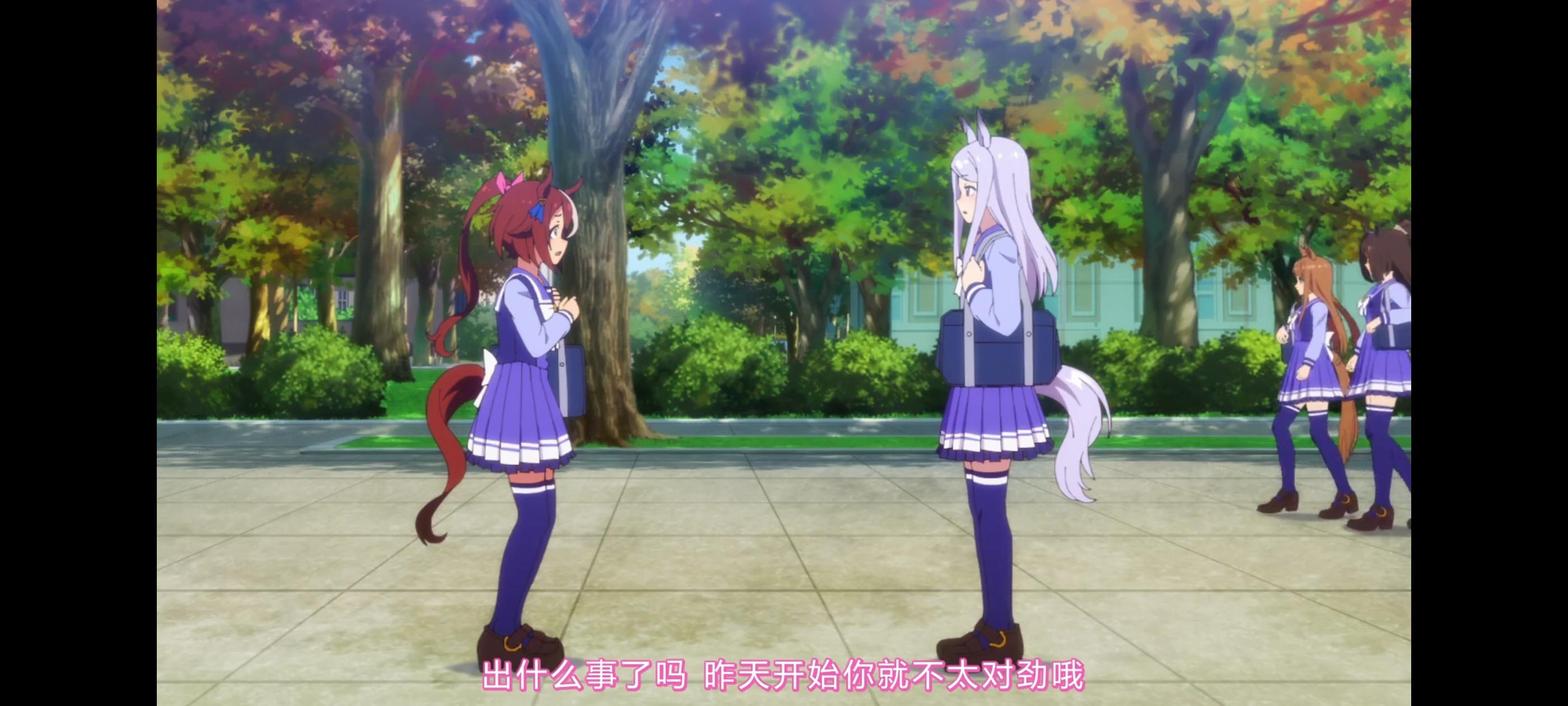 赛马娘,赛马娘第二季,动画,动漫,番剧,二次元,ACG