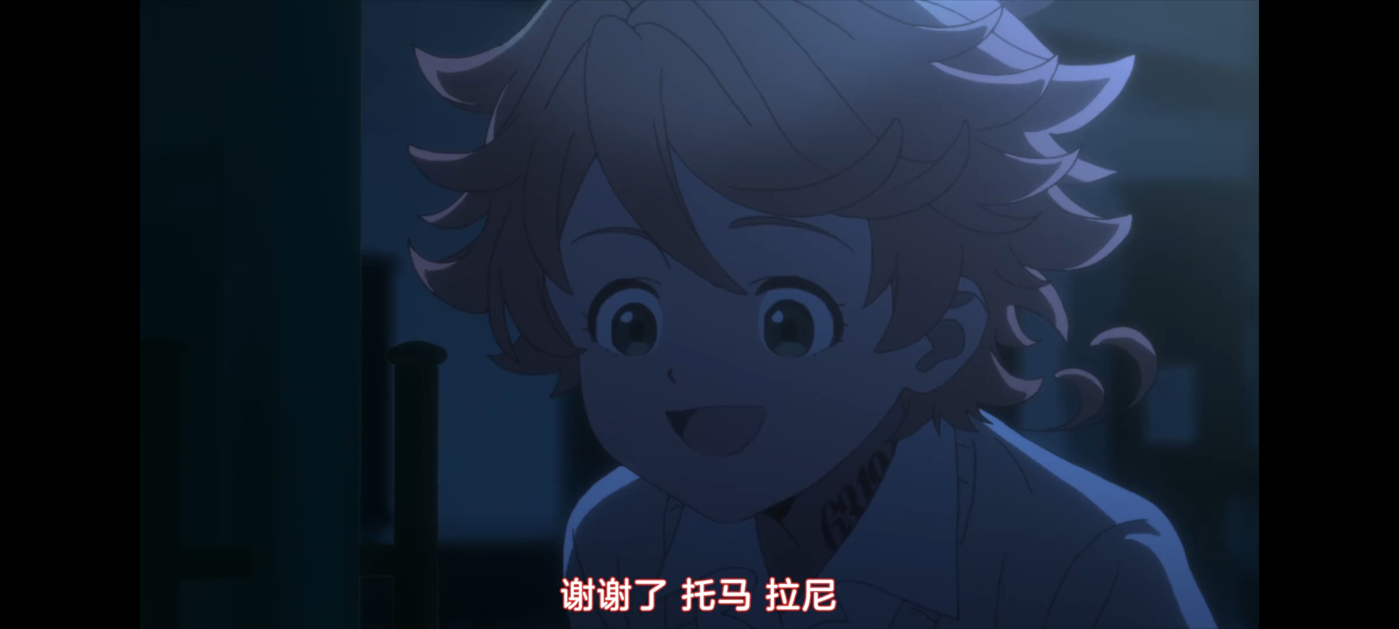 约定的梦幻岛,动画,动漫,番剧,二次元,ACG