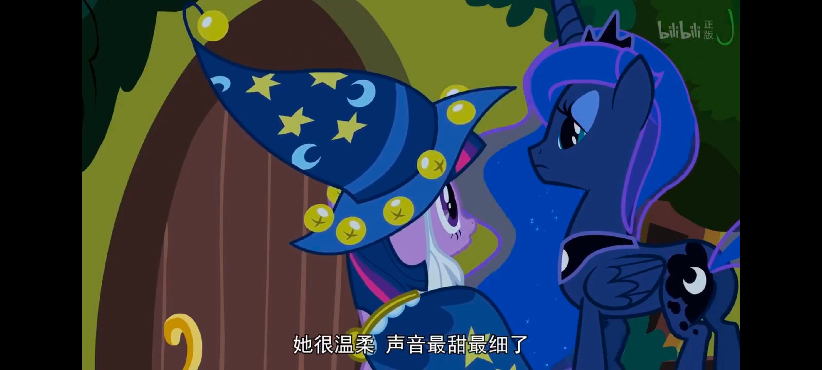 小马宝莉,小马宝莉友谊魔法,彩虹小马,我的小马驹,动漫,动画,番剧,ACG