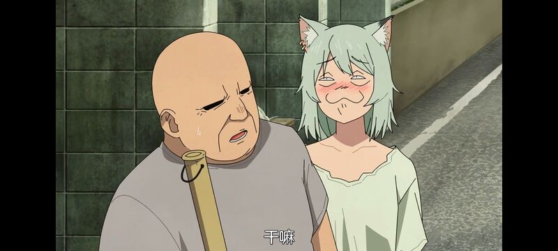雅尼猫,尼古喵喵,动画,动漫,番剧,二次元,日漫,ACG
