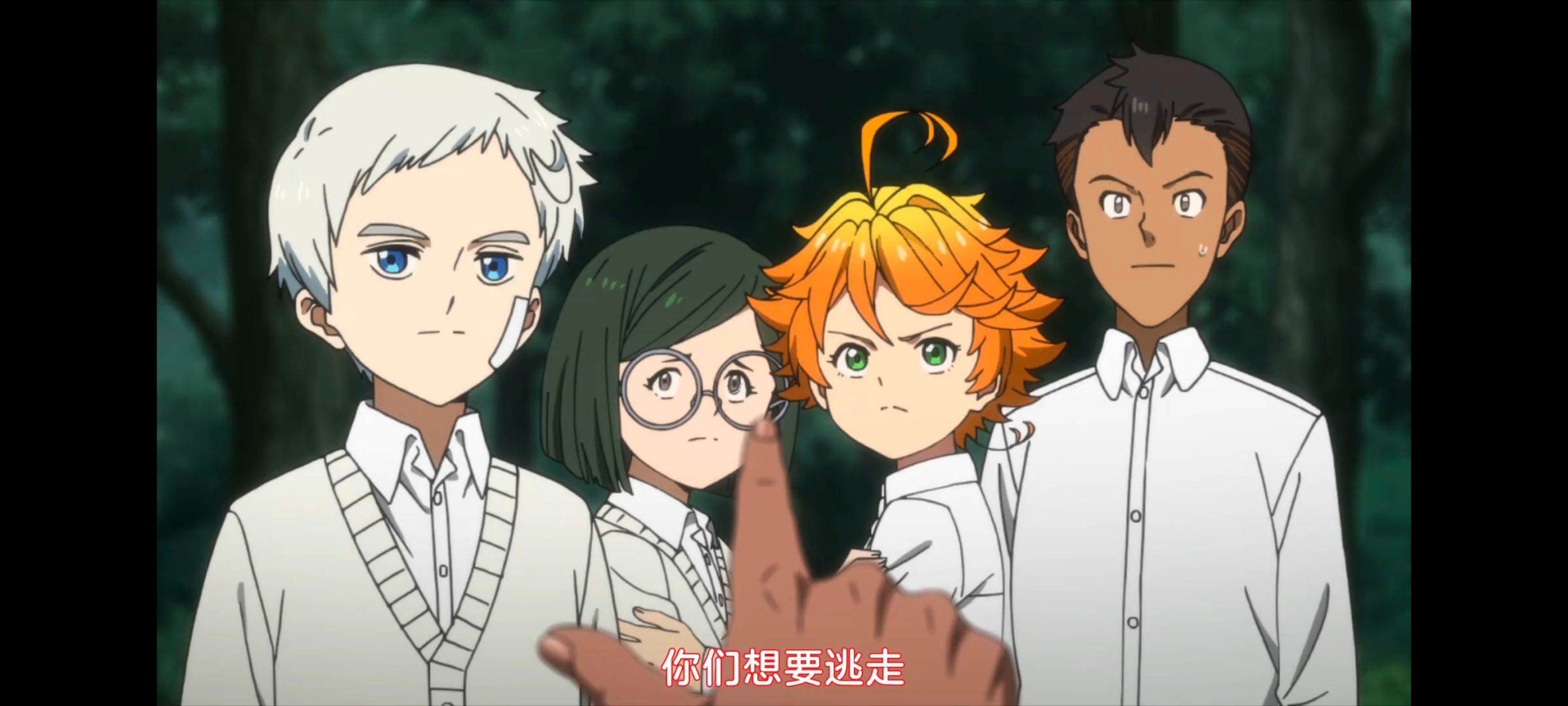 约定的梦幻岛,动画,动漫,番剧,二次元,ACG