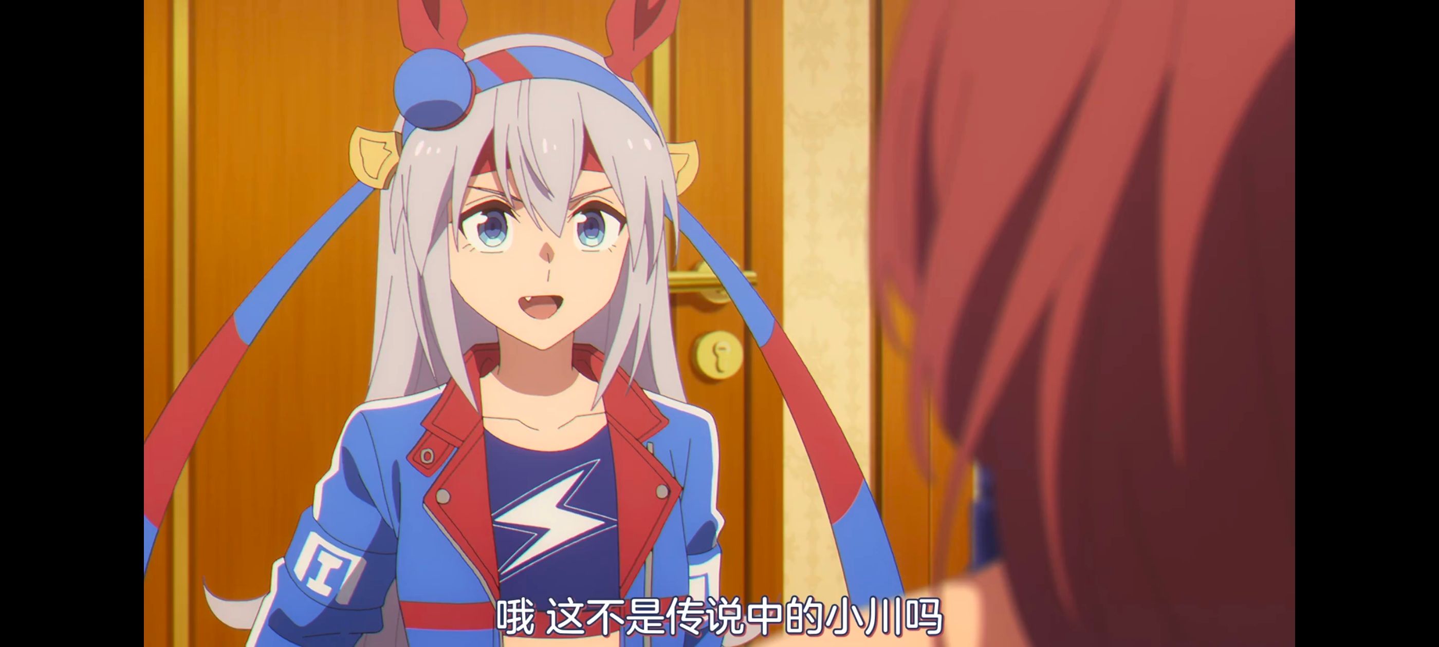 赛马娘,赛马娘PrettyDreby,芦毛灰姑娘,赛马娘芦毛灰姑娘,动画,动漫,番剧,ACG