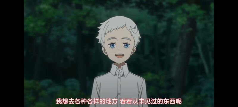 约定的梦幻岛,动画,动漫,番剧,ACG