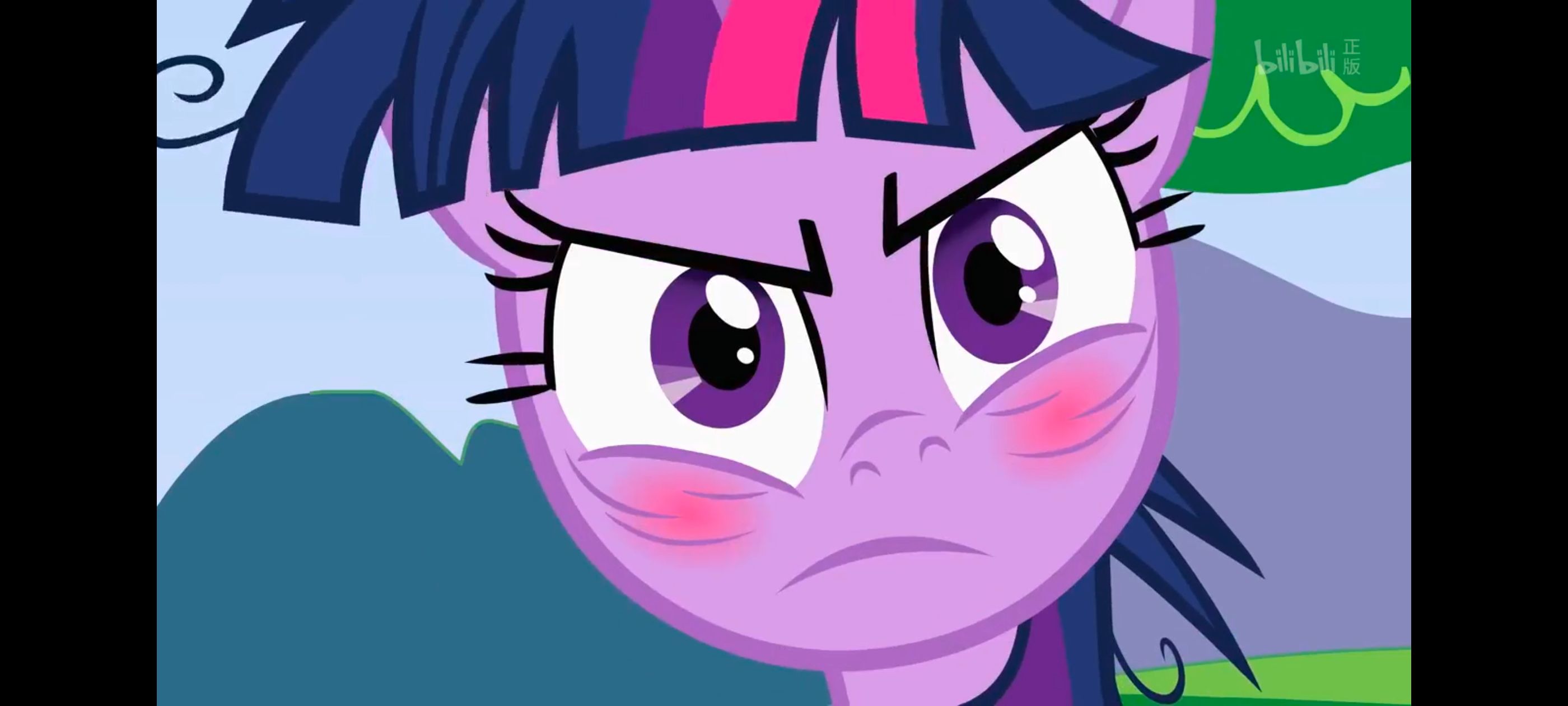 小马宝莉,小马宝莉友谊魔法,彩虹小马,我的小马驹,动画,动漫,番剧,ACG