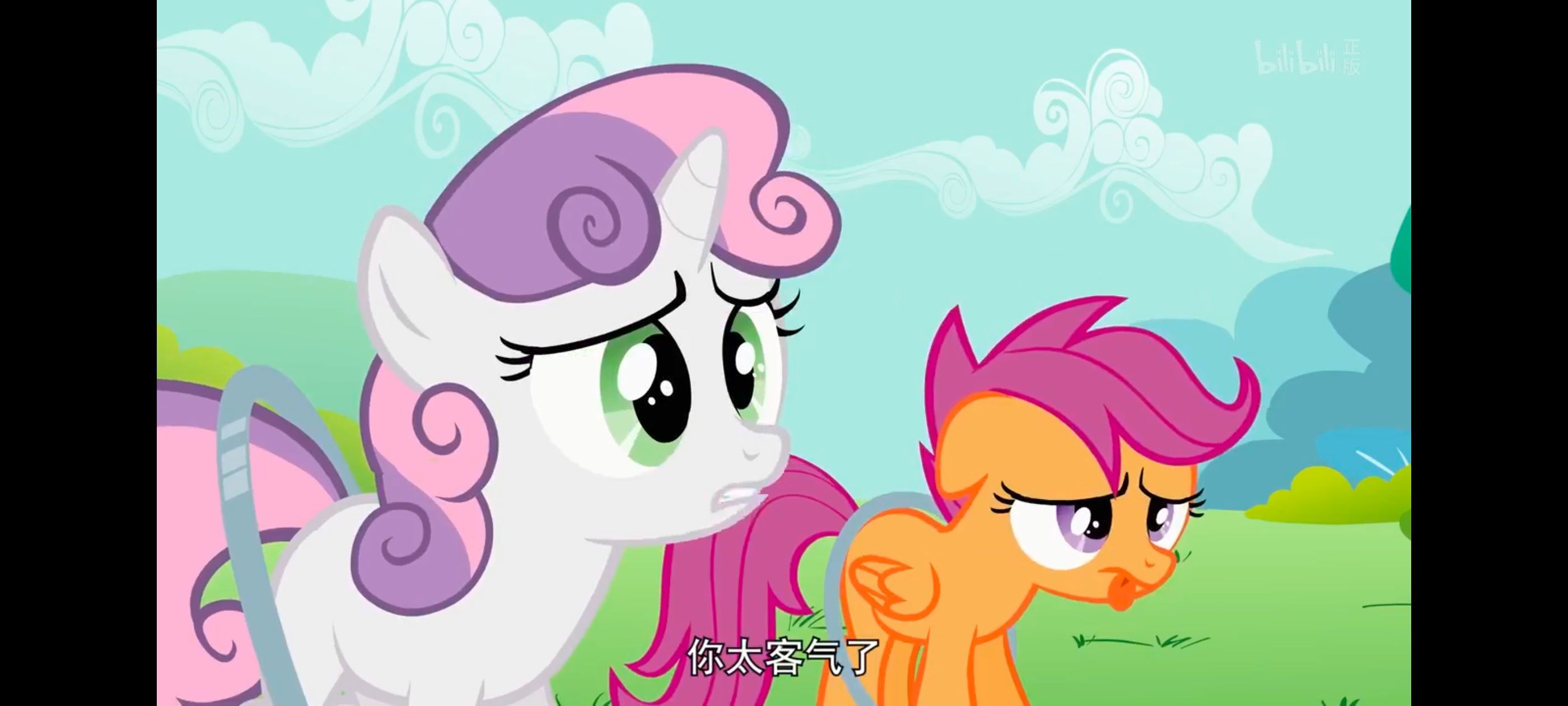 小马宝莉,彩虹小马,我的小马驹,动漫,动画,番剧,ACG