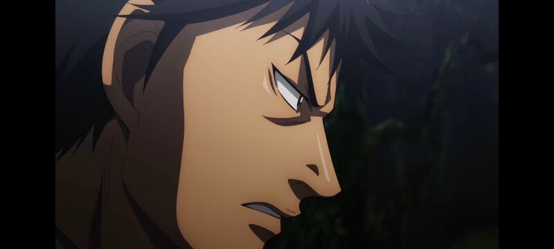 王者天下,动画,动漫,番剧,ACG