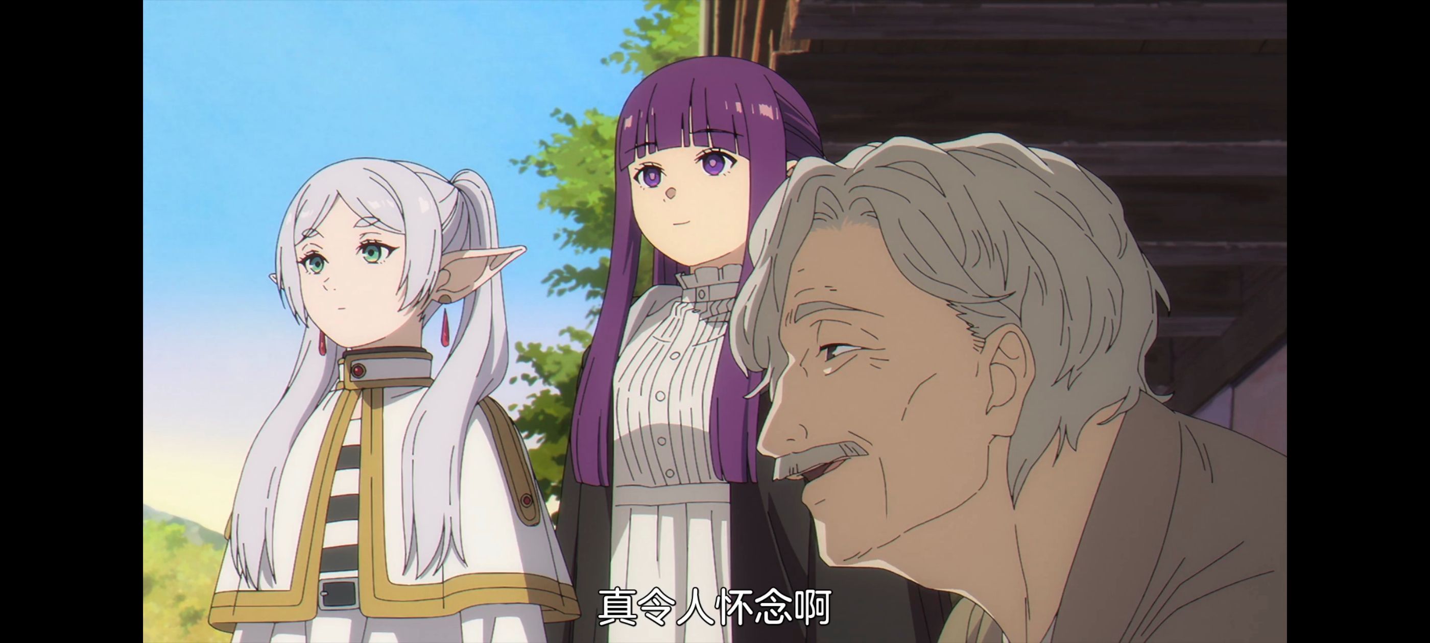 葬送的芙莉莲,动画,动漫,番剧,ACG