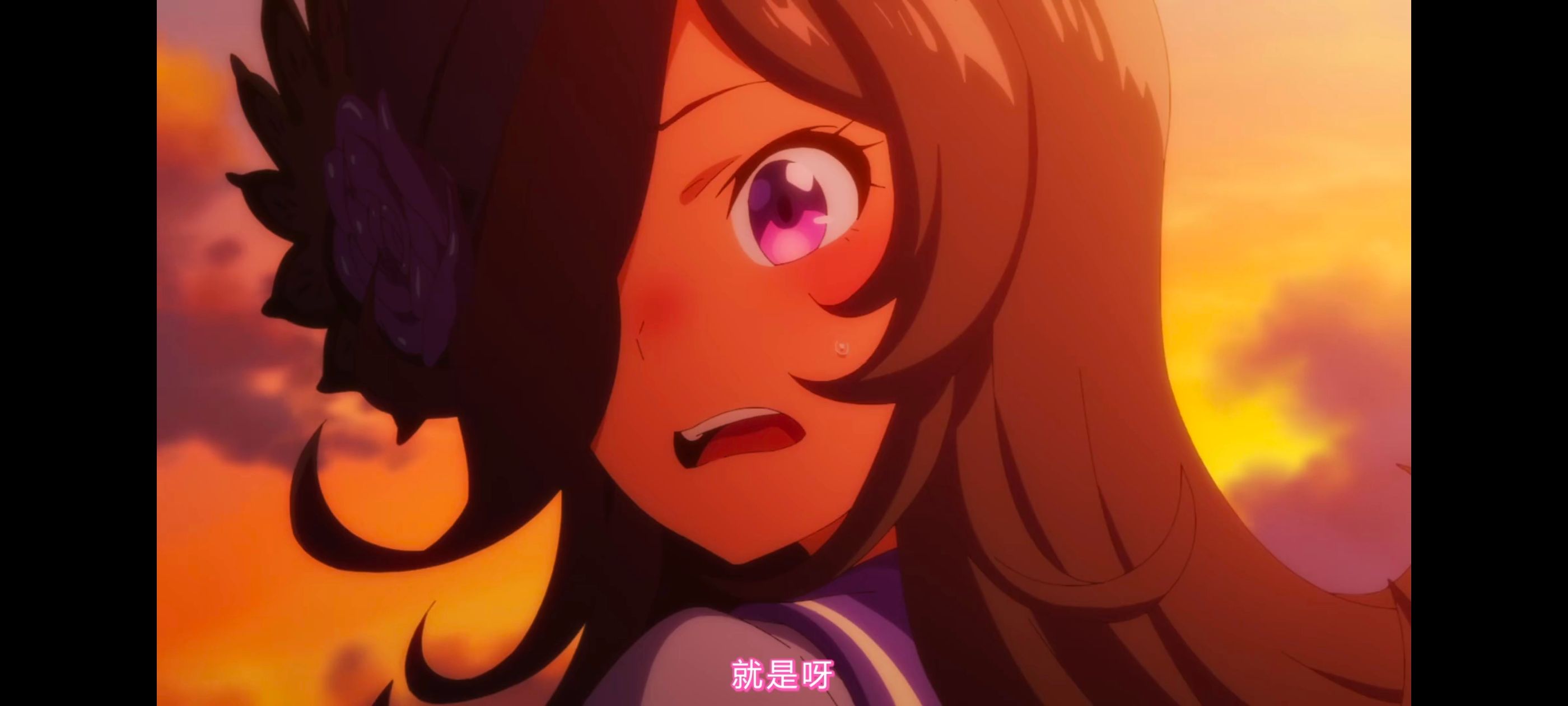 赛马娘,赛马娘第二季,动画,动漫,番剧,二次元,ACG,赛马娘PrettyDerby