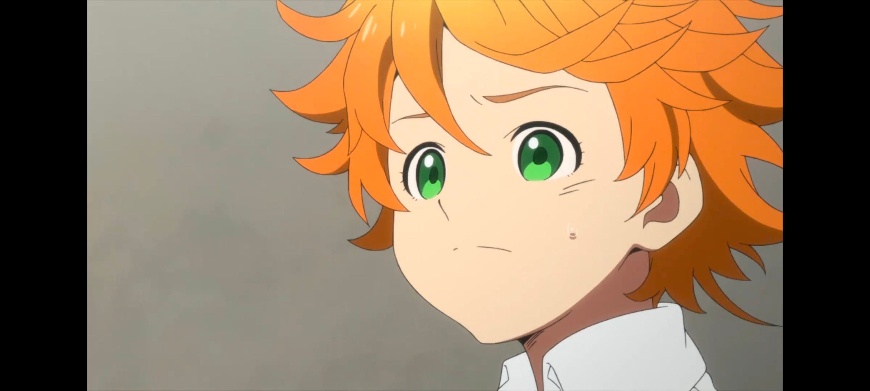 约定的梦幻岛,动画,动漫,番剧,ACG