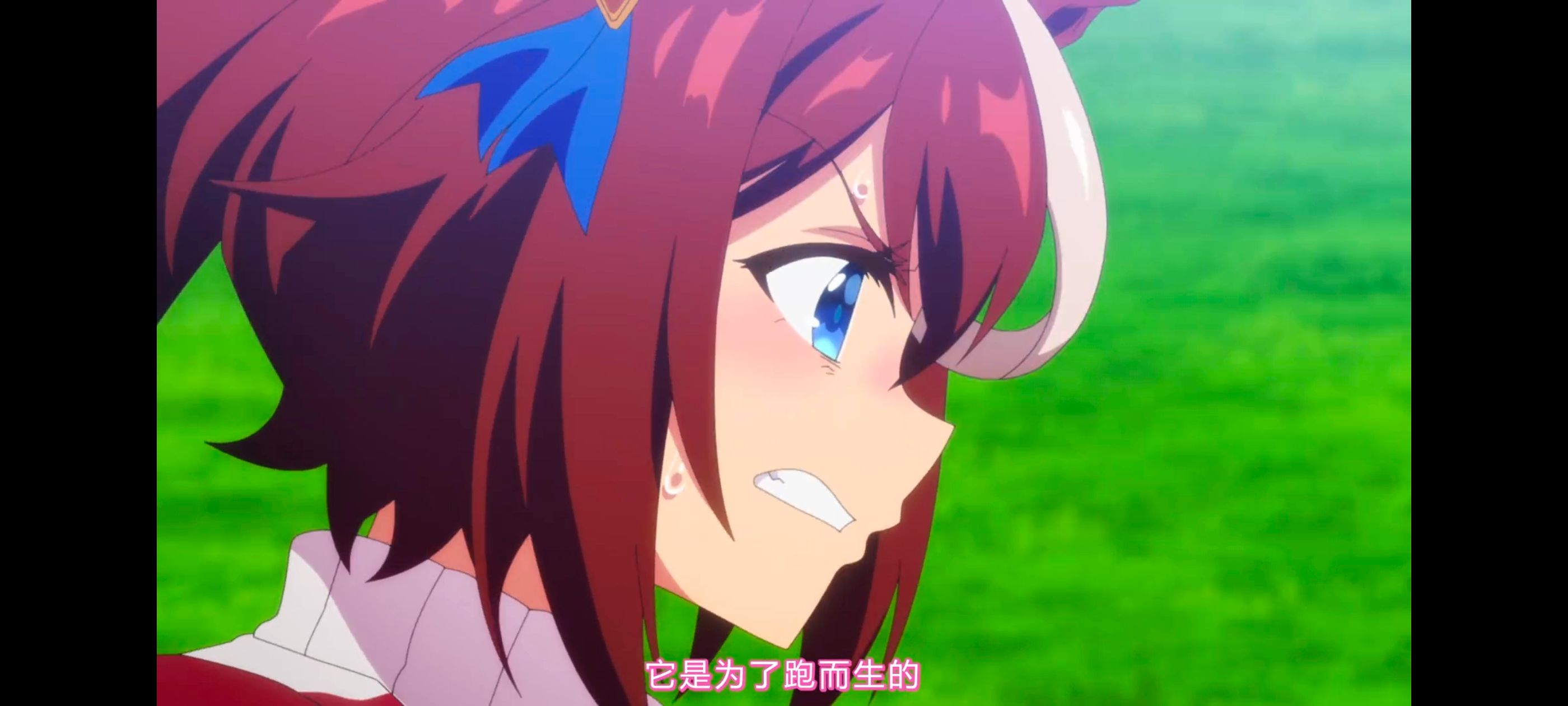 赛马娘,赛马娘第二季,动画,动漫,番剧,ACG