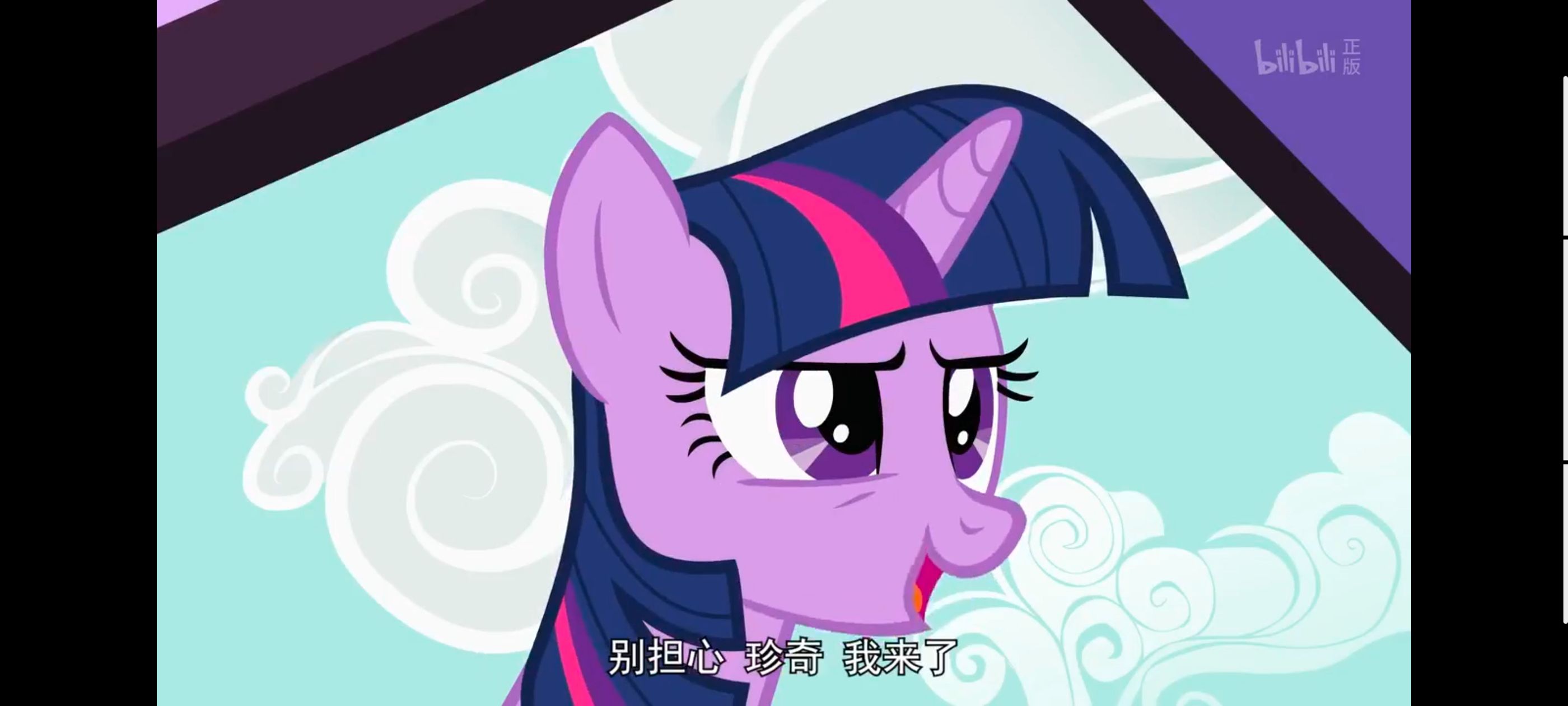 小马宝莉,小马宝莉友谊魔法,彩虹小马,我的小马驹,动画,动漫,番剧,ACG