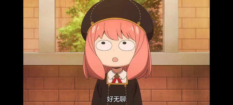 间谍过家家,SPYFAMILY,动漫,动画,番剧,ACG