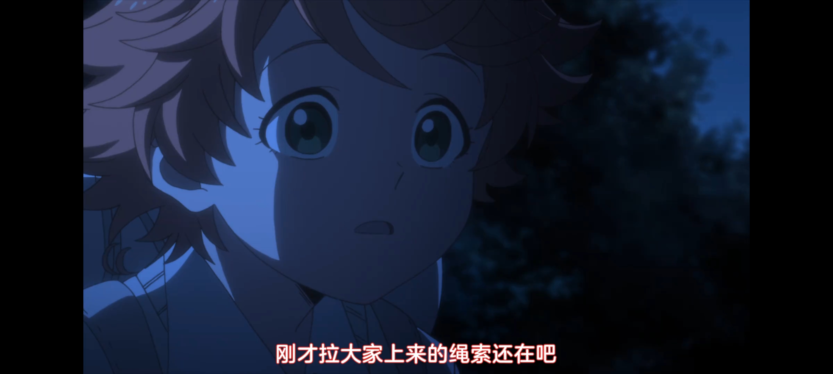 约定的梦幻岛,动画,动漫,番剧,二次元,ACG