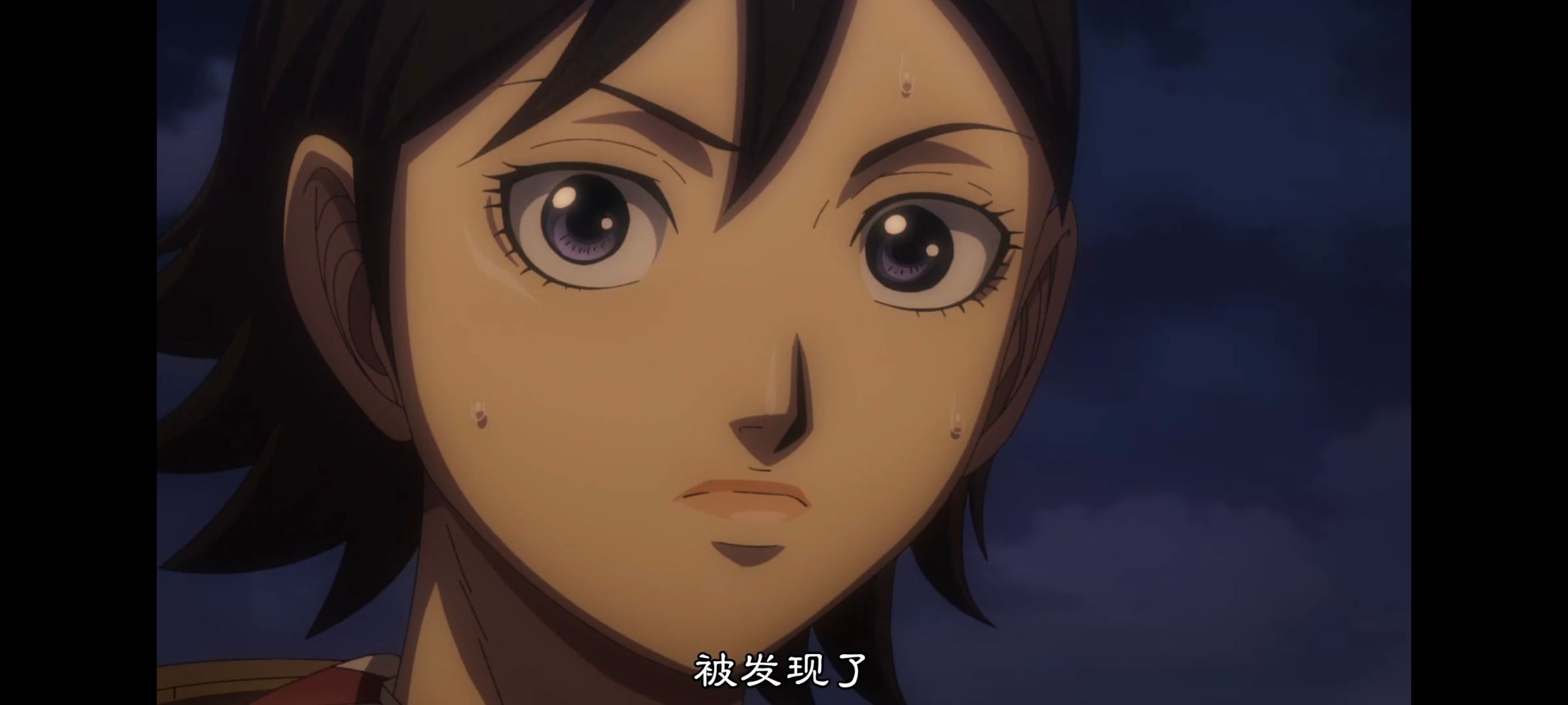 王者天下,动画,动漫,番剧,ACG