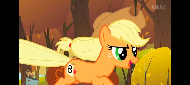 小马宝莉,小马宝莉友谊魔法,彩虹小马,我的小马驹,动画,动漫,番剧,ACG