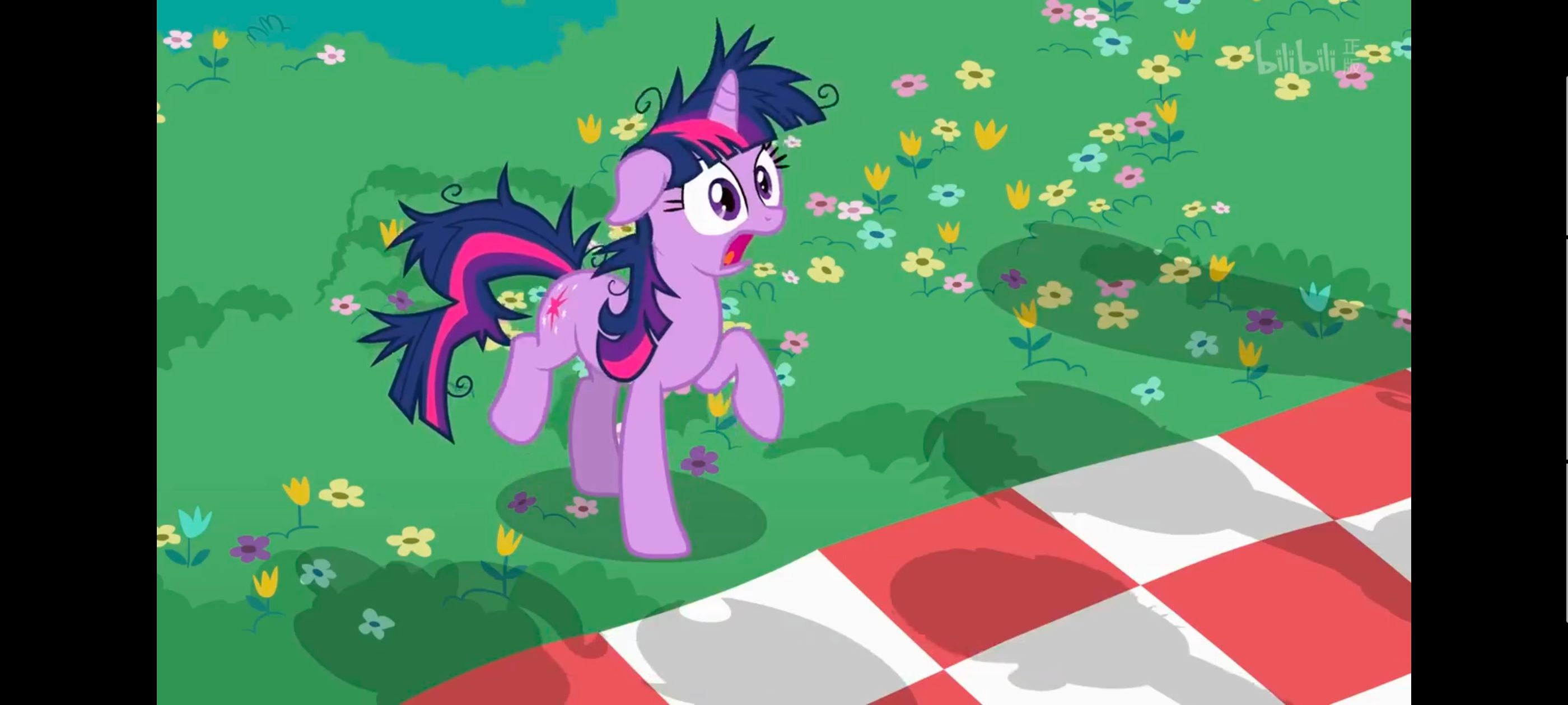 小马宝莉,小马宝莉友谊魔法,彩虹小马,我的小马驹,动画,动漫,番剧,ACG