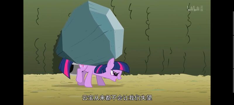 小马宝莉,小马宝莉友谊魔法,彩虹小马,我的小马驹,动画,动漫,番剧,ACG