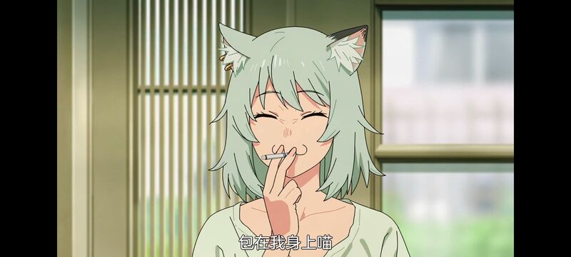 雅尼猫,尼古喵喵,动画,动漫,番剧,二次元,日漫,ACG