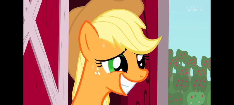 小马宝莉,小马宝莉友谊魔法,彩虹小马,我的小马驹,动画,动漫,番剧,ACG