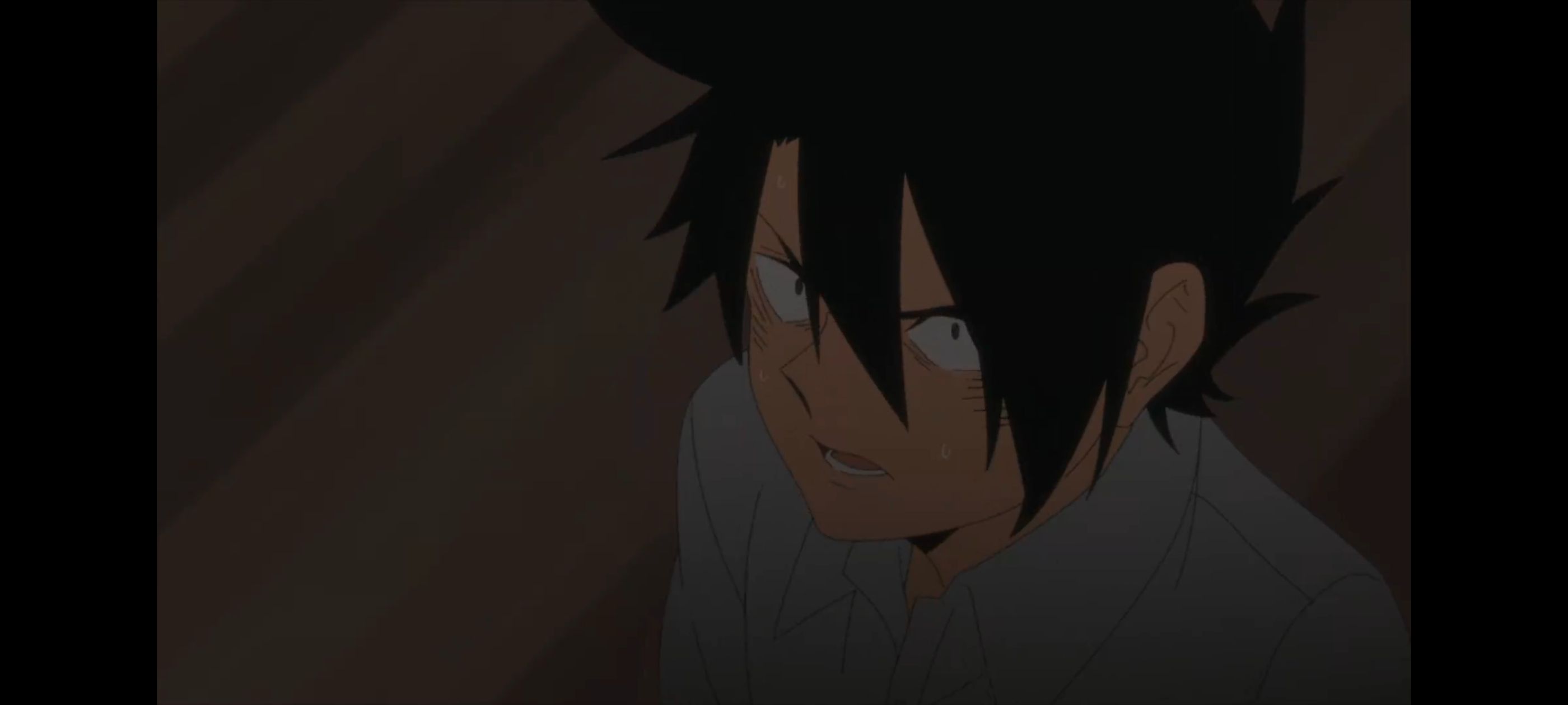 约定的梦幻岛,动画,动漫,番剧,二次元,ACG