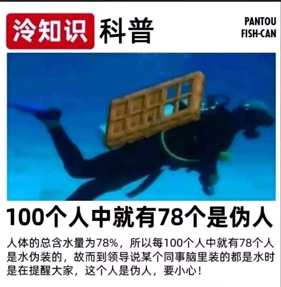 /static/27f7e1f88c305b910657b4436d189032c49d53314fe52a6c1387ab3513d3fe17.jpg