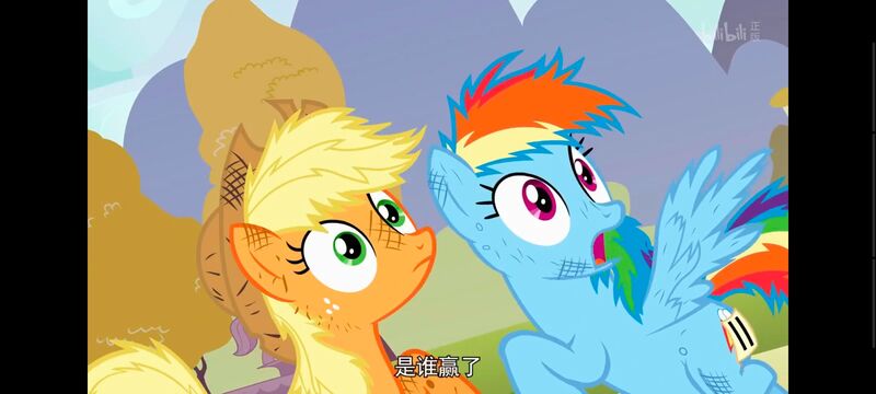 小马宝莉,小马宝莉友谊魔法,彩虹小马,我的小马驹,动画,动漫,番剧,ACG