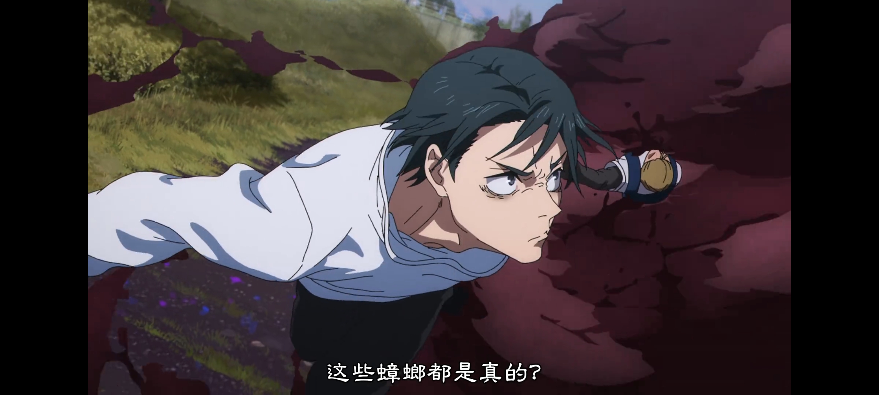 咒术回战,咒术回战死灭回游,动画,动漫,番剧,二次元,ACG