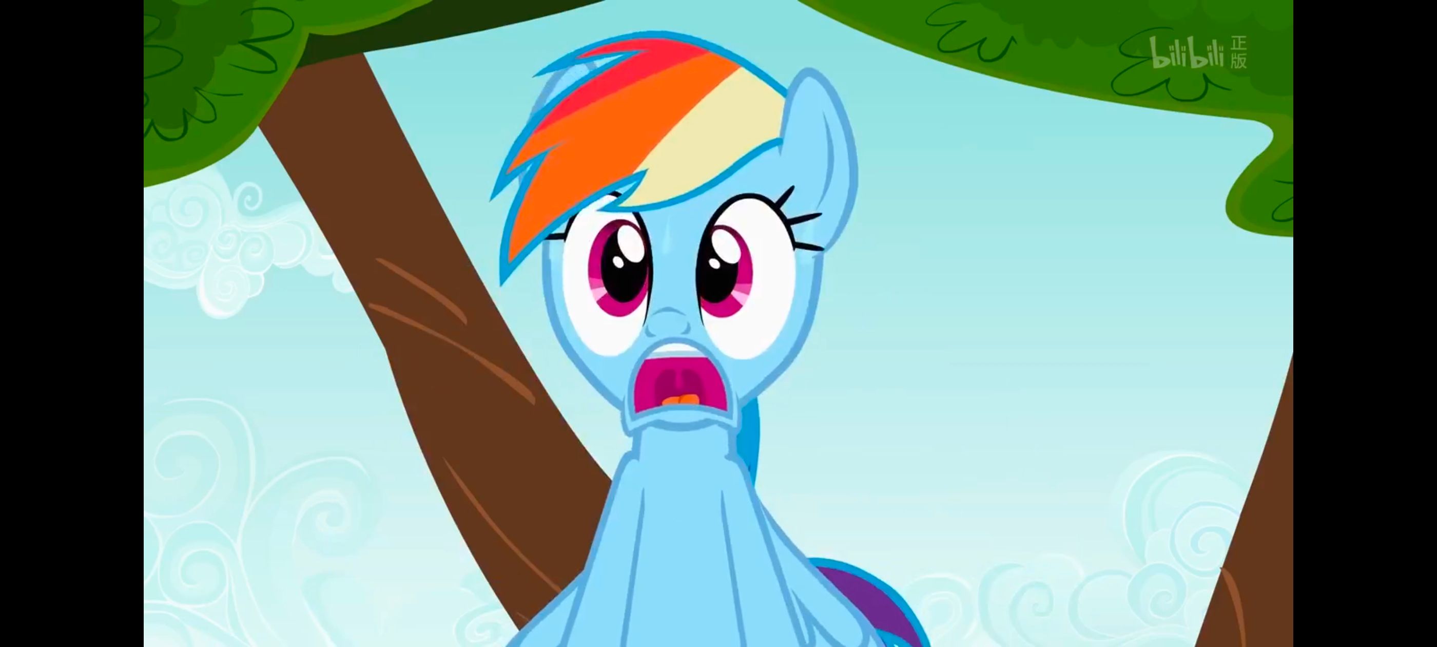 小马宝莉,彩虹小马,我的小马驹,动画,动漫,番剧,二次元,ACG