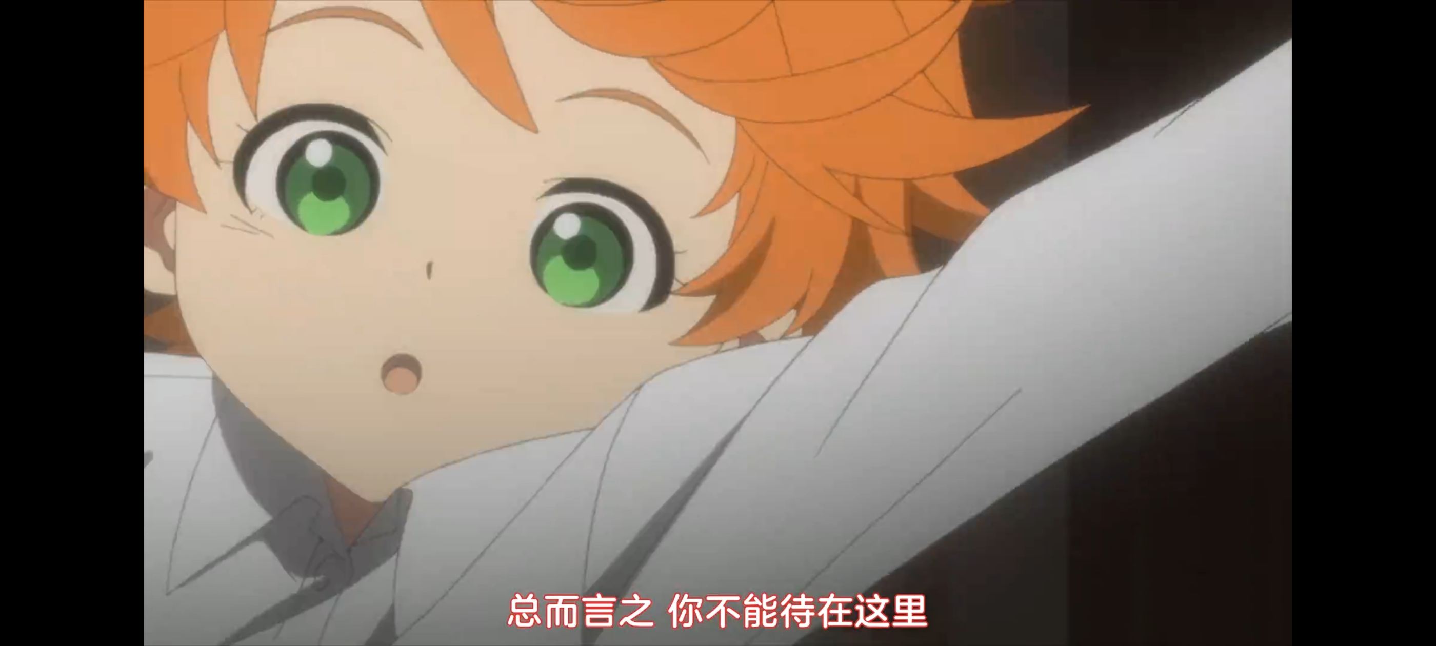 约定的梦幻岛,动画,动漫,番剧,二次元,ACG