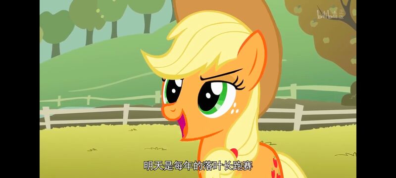 小马宝莉,小马宝莉友谊魔法,彩虹小马,我的小马驹,动画,动漫,番剧,ACG