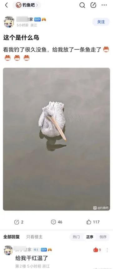 逗图,弔图,搞笑,新年快乐,哈哈哈哈