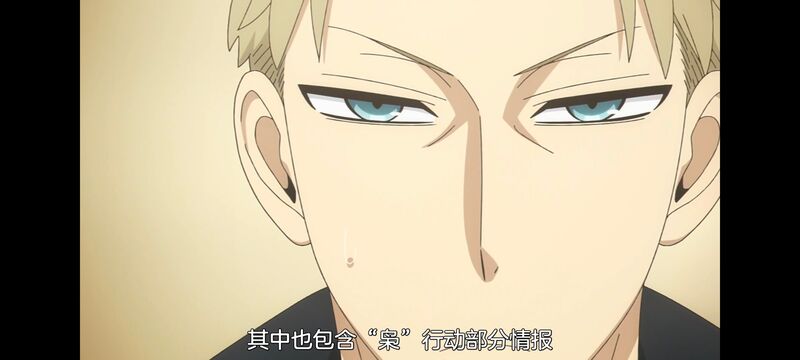 间谍过家家,SPYFAMILY,动画,动漫,番剧,ACG