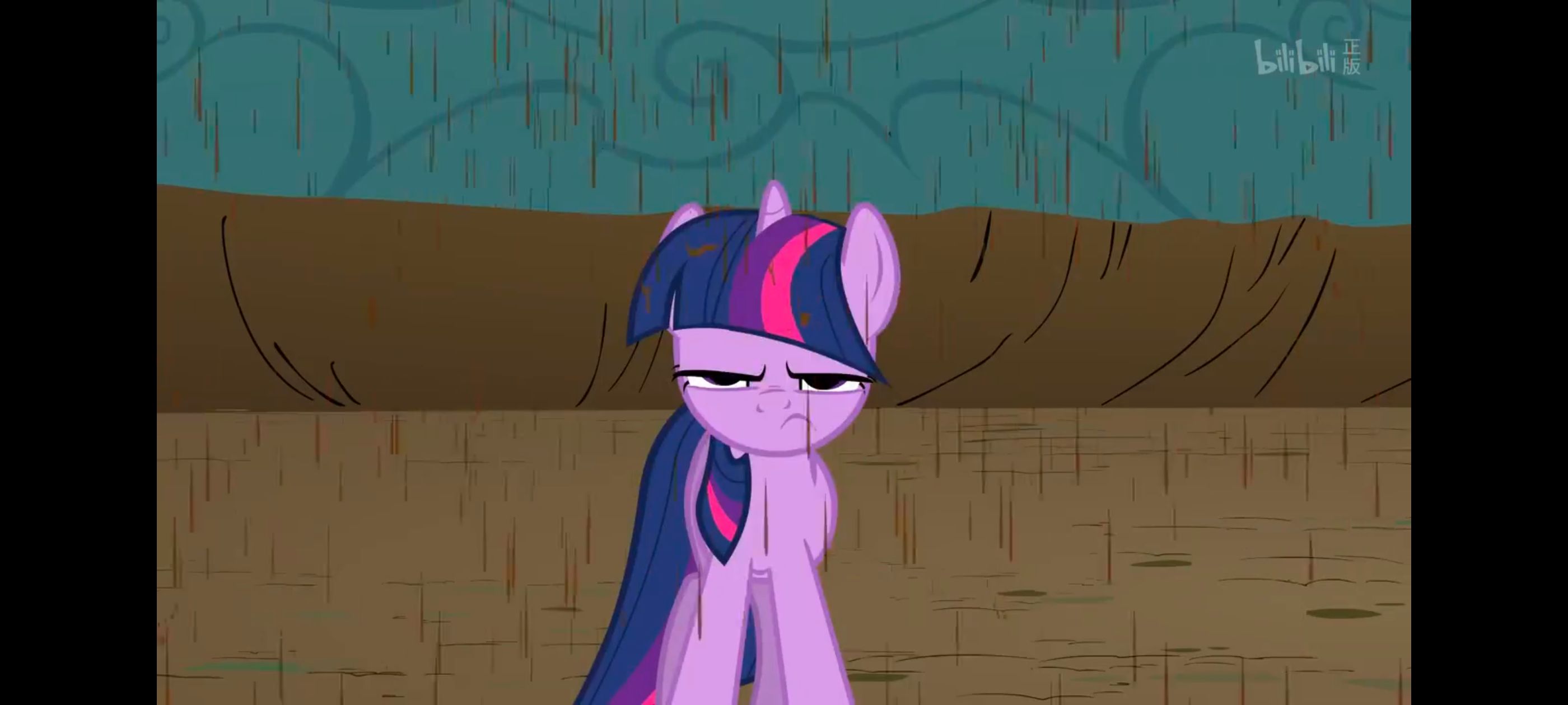 小马宝莉,彩虹小马,我的小马驹,小马宝莉友谊魔法,动漫,动画,番剧,ACG