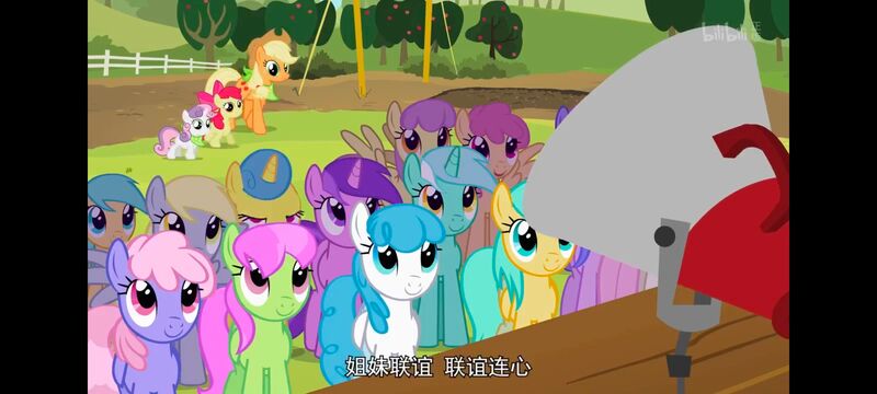 小马宝莉,小马宝莉友谊魔法,彩虹小马,我的小马驹,动画,动漫,番剧,ACG