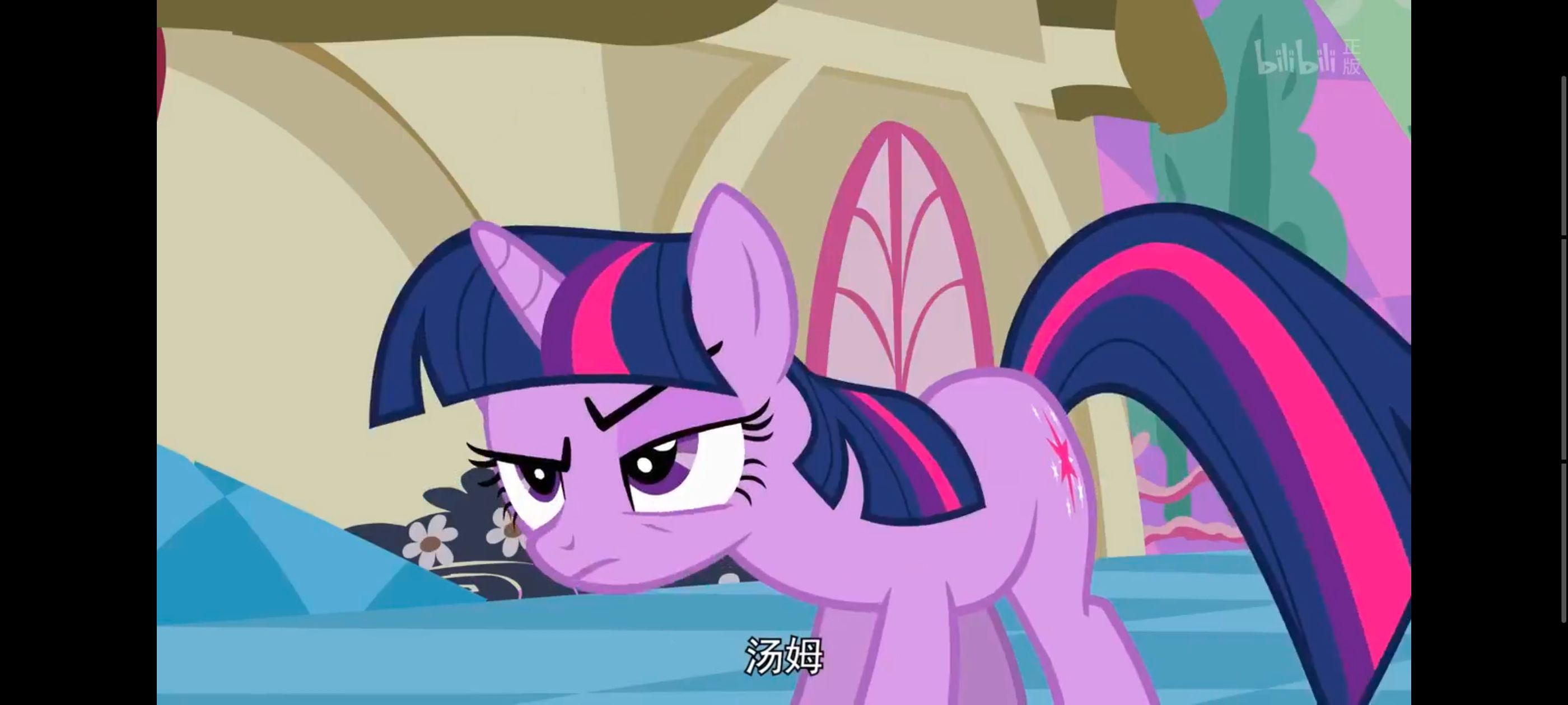 小马宝莉,彩虹小马,我的小马驹,小马宝莉友谊魔法,动漫,动画,番剧,ACG