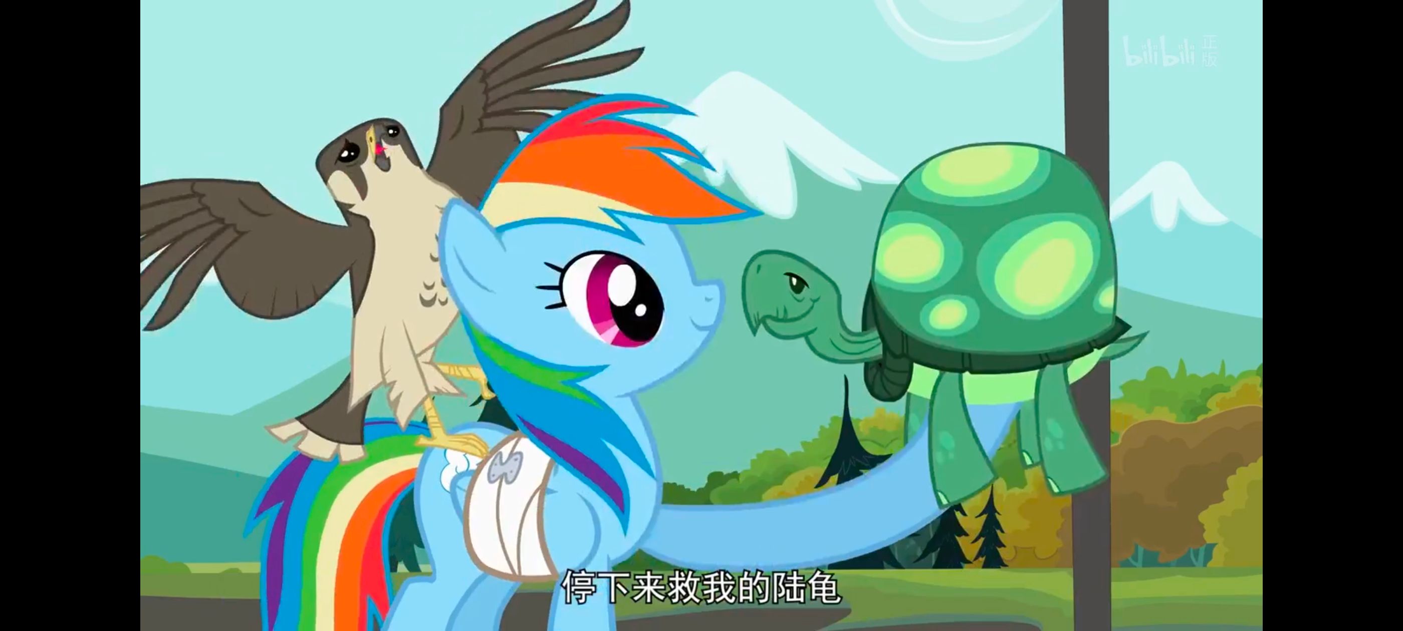 小马宝莉,彩虹小马,我的小马驹,动画,动漫,番剧,二次元,ACG